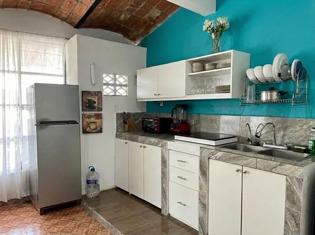 Kitchen with Vitamix, reverse-osmosis water filter and electric cooktop